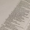 Bíblia para Anoações | NVI | Salmos 119 a