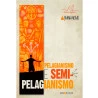 Pelagianismo e Semi-Pelagianismo | Coleção Arminianismo | Ivan de Oliveira 