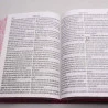 Bíblia Sagrada | RC | Harpa Avivada e Corinhos | Letra Jumbo | Luxo | Ramos Pink