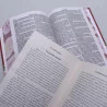 Kit Bíblia KJA Letra Gigante | Primavera + O Espírito de Jezabel | Diogo Crotti | Jezabel Nas Escrituras