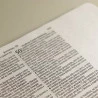 Bíblia para Anotações | RC | Espiral | Floral Abstrato