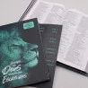 Kit Bíblia NVI Slim Rei dos Reis + Abas Adesivas Leão Azul | Vivendo a Maravilha 