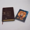  Kit Nova Bíblia Viva Marrom + Devocional Eu e Deus Alfa e Ômega | Oração Divina 