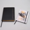  Kit Bíblia de Estudo Anotada Expandida RA | Preta + Meu Diário de Oração Leão Dourado | Caminhando com o Mestre 