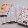 Kit Bíblia KJA Slim Girassol + Eu e Deus + Abas Adesivas Lettering | Caminhando Com Ele 