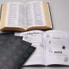 Kit Bíblia | NVI | Estrela de Davi + Jornada com Deus Através das Escrituras Leão Azul | Um Coração Transformado 