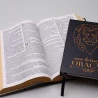 Kit Bíblia de Estudo KJA | Leão Ilustrado + Meu Diário de Oração Leão Ilustrado Azul | Divina Providência