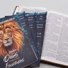 Kit Bíblia NVI Slim Leão Ouro + Abas Adesivas Alfa e Ômega | Vivendo a Maravilha 