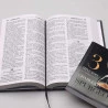 Kit Bíblia Sagrada ACF Letra Gigante Leão Preto e Branco + 3 Minutos com Charles H. Spurgeon | O Poder da Oração