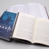 Box Comentário Bíblico Moody | Vol. 1 | Vol. 2 + Práticas do Cristianismo | Søren Kierkegaard | Clareza das Escrituras 
