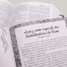 Kit Devocional Minutos de Paz | Leão Dourado + Bíblia Grife e Rabisque | Capa Dura | Isaías | Tempo de Paz