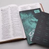 Kit Bíblia AEC Letra Gigante Marrom + Abas Adesivas Leão Azul | Paz Perfeita