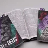 Kit Bíblia KJA Slim + Eu e Deus + Abas Adesivas | Leão de Judá | Caminhando Com Ele 