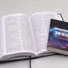  Kit Bíblia Grife e Rabisque Leão de Judá + Devocional Palavras de Jesus em Vermelho Nébula | Volte a Sonhar 