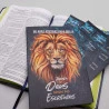 Kit Nova Bíblia Viva Moderna + Devocional Eu e Deus Alfa e Ômega | Oração Divina 