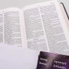 Kit Bíblia AEC Letra Gigante Preta e Vermelho + Abas Adesivas Leão de Judá | Paz Perfeita