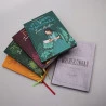 Kit Mulherzinhas | Capa Dura + Box com 4 Livros | Jane Austen | Vol.2 | Grandes Romances