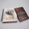 Kit Bíblia Anote A Palavra NVI | Leão Dourado  + O Reino de Cristo | Martin Bucer | Herança Celestial 