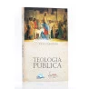 Coleção 3 Livros | Estudos Teológicos | Júlio Zabatiero 